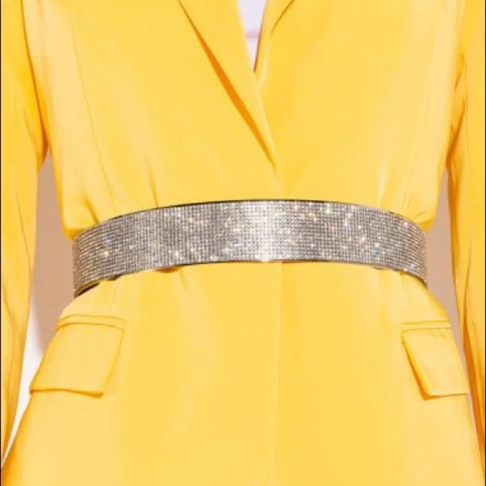 Gold Crystal Metal Adjustable Waist Statement Belt